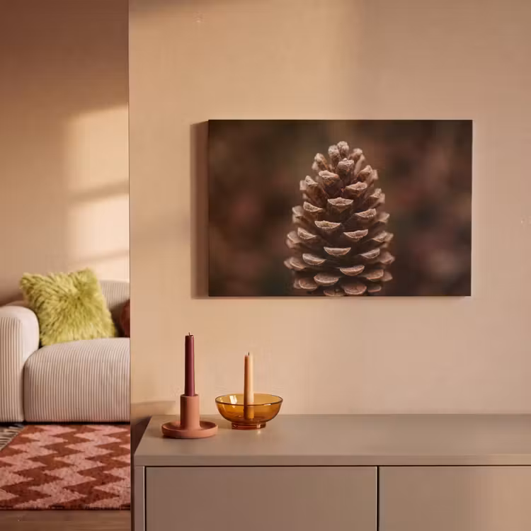Canvas schilderij - Dennenappel - Bos - Herfst - Bruin - Sfeervol — 2
