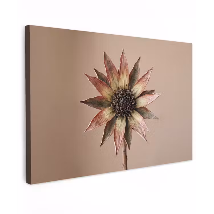 Canvas schilderij - Droogbloem - Protea - Vintage - Beige - Rustiek — 1