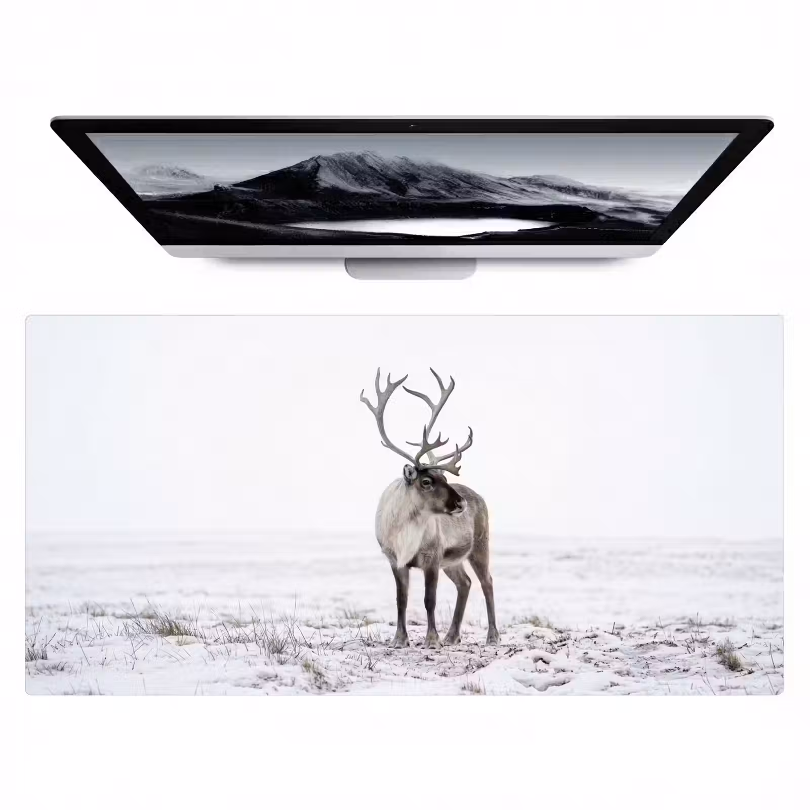 Bureau onderlegger - Rendier - Gewei - Sneeuw - Winter — 1