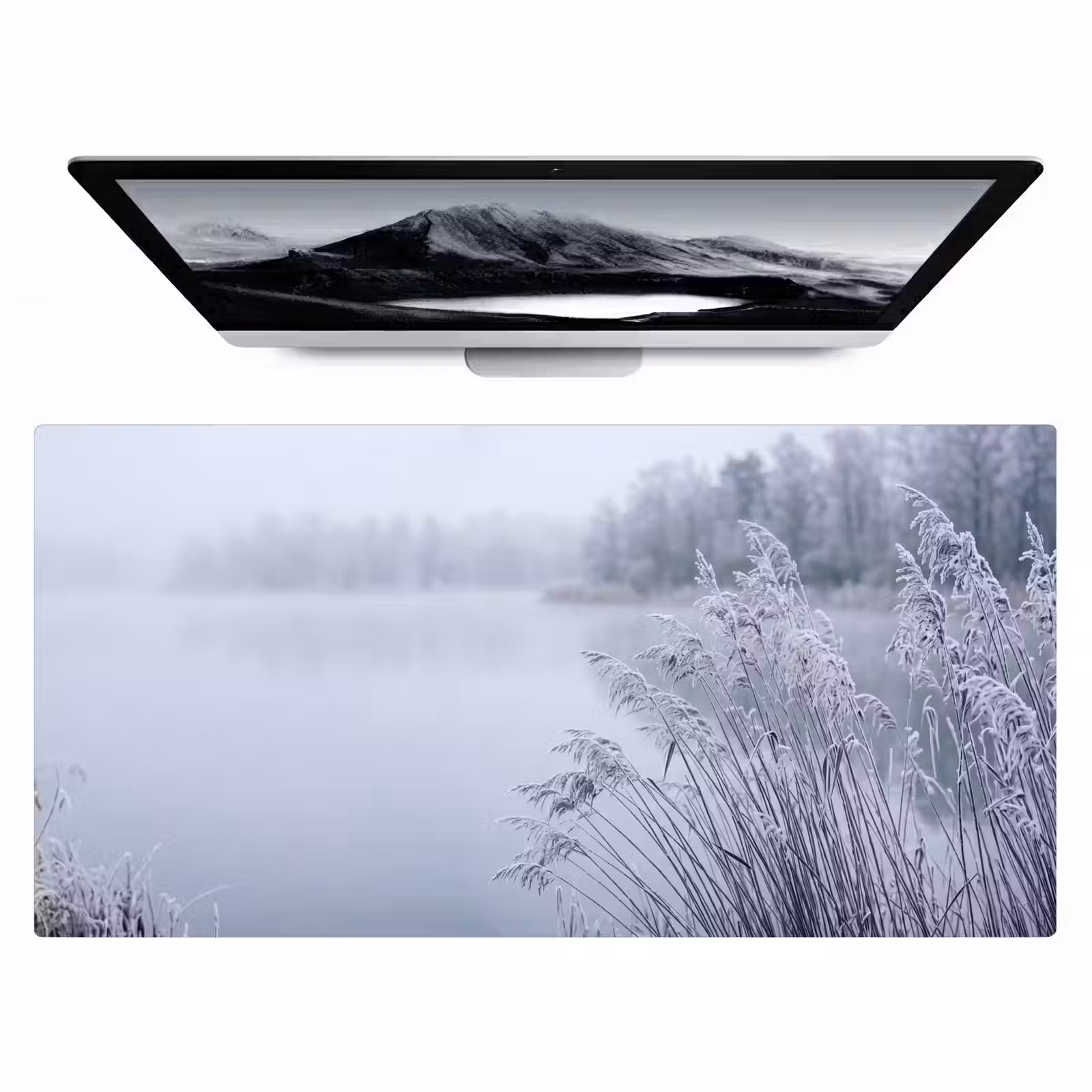 Bureau onderlegger - Riet - Bevroren - Winter - Natuur — 1