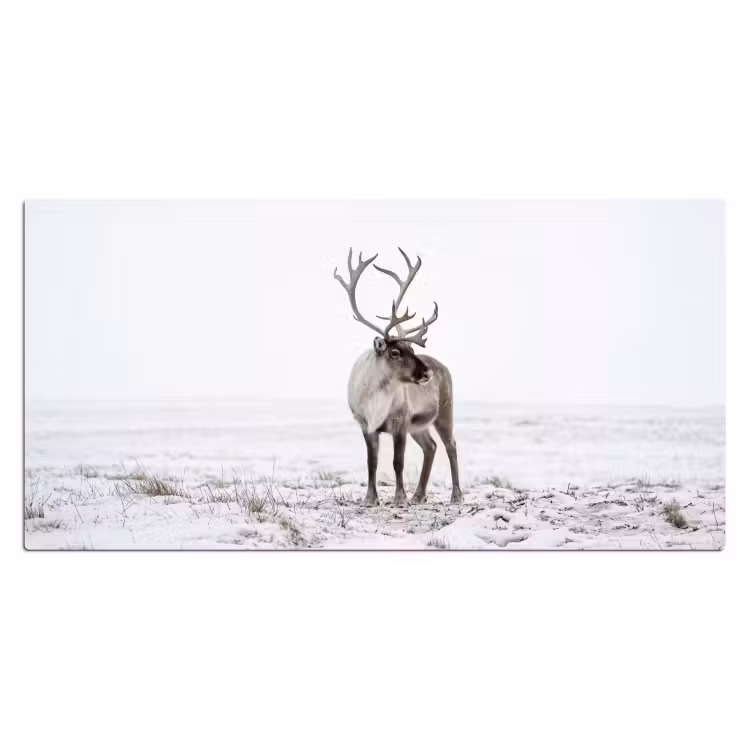 Bureau onderlegger - Rendier - Gewei - Sneeuw - Winter — 2