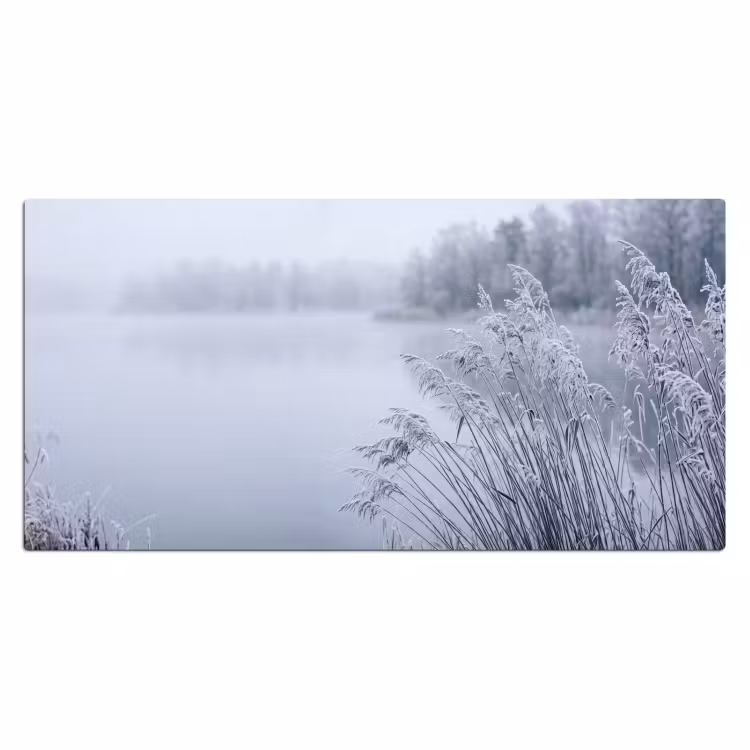 Bureau onderlegger - Riet - Bevroren - Winter - Natuur — 2