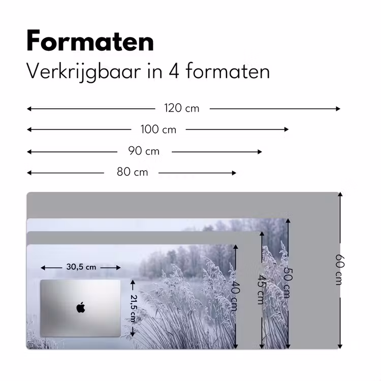 Bureau onderlegger - Riet - Bevroren - Winter - Natuur — 8