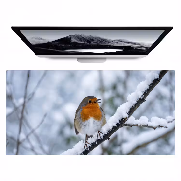Bureau onderlegger - Roodborstje - Tak - Sneeuw - Winter - Levendig — 1