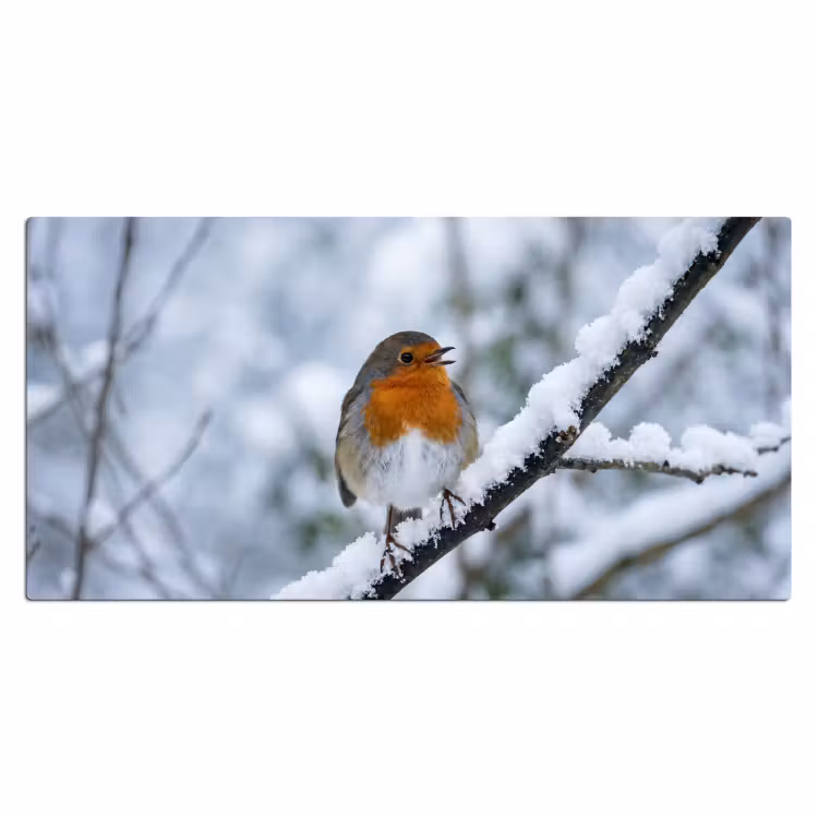 Bureau onderlegger - Roodborstje - Tak - Sneeuw - Winter - Levendig — 2