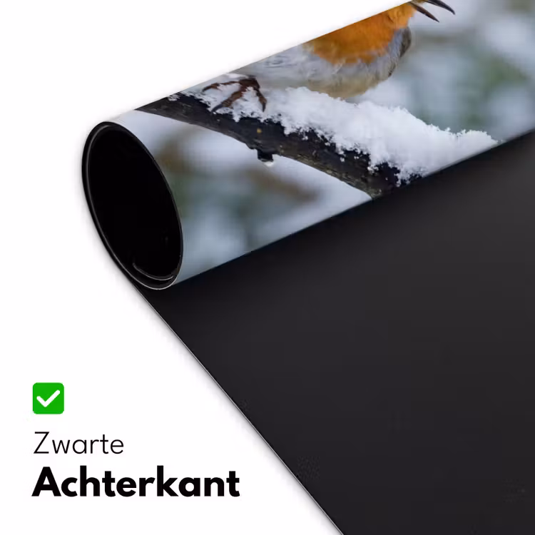 Bureau onderlegger - Roodborstje - Tak - Sneeuw - Winter - Levendig — 5