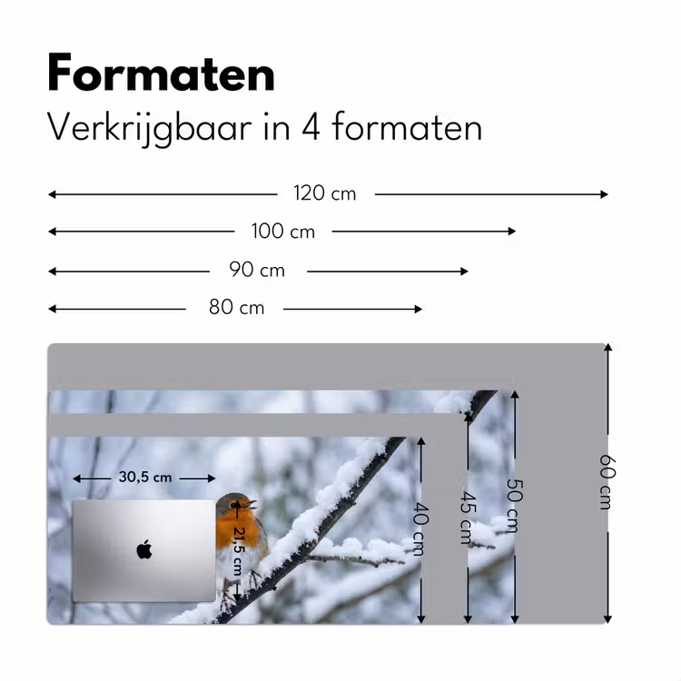 Bureau onderlegger - Roodborstje - Tak - Sneeuw - Winter - Levendig — 8