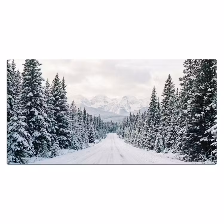 Bureau onderlegger - Weg - Sneeuw - Naaldbos - Winter - Avontuurlijk — 2