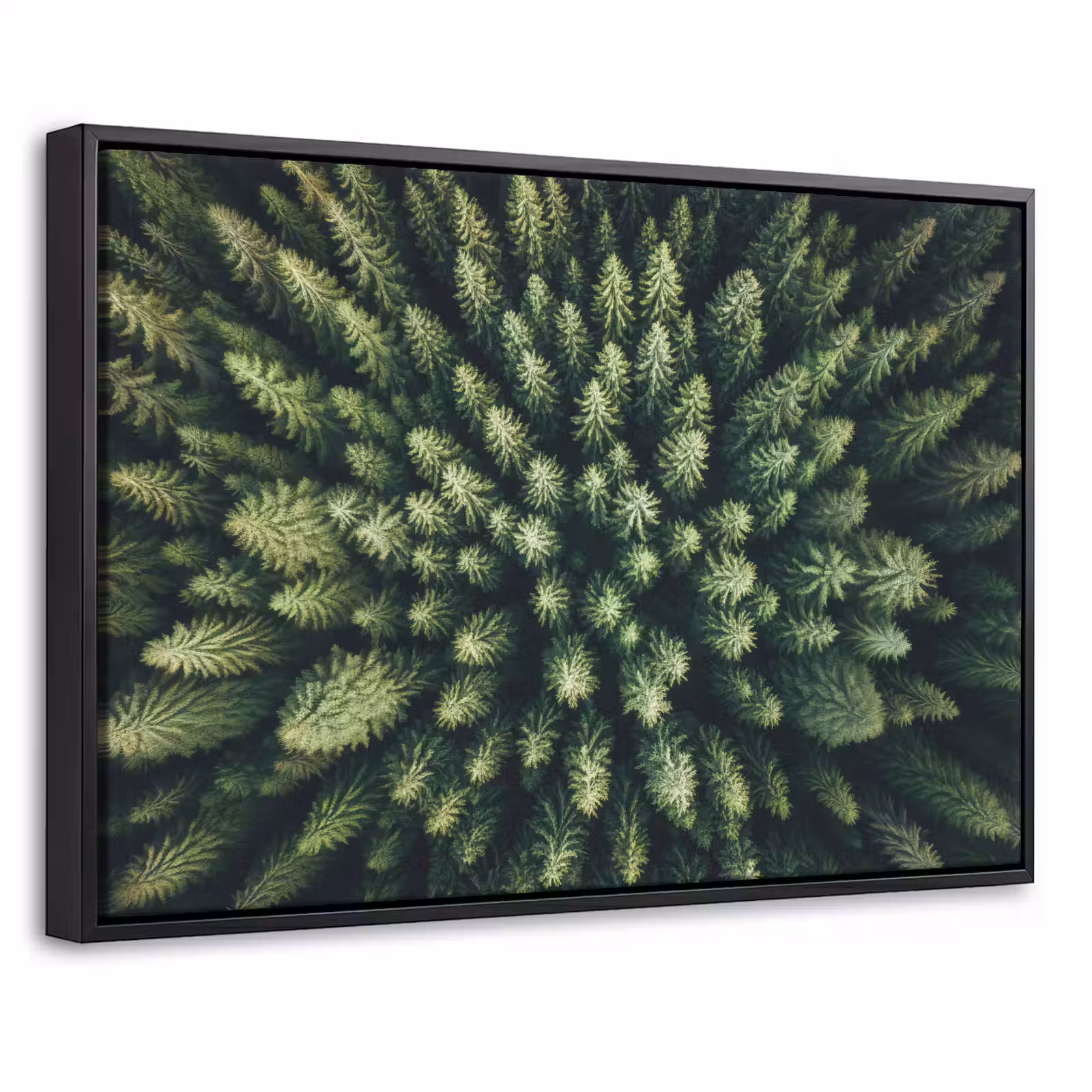Canvas met lijst - Bomen - Naaldwoud - Structuur — 1