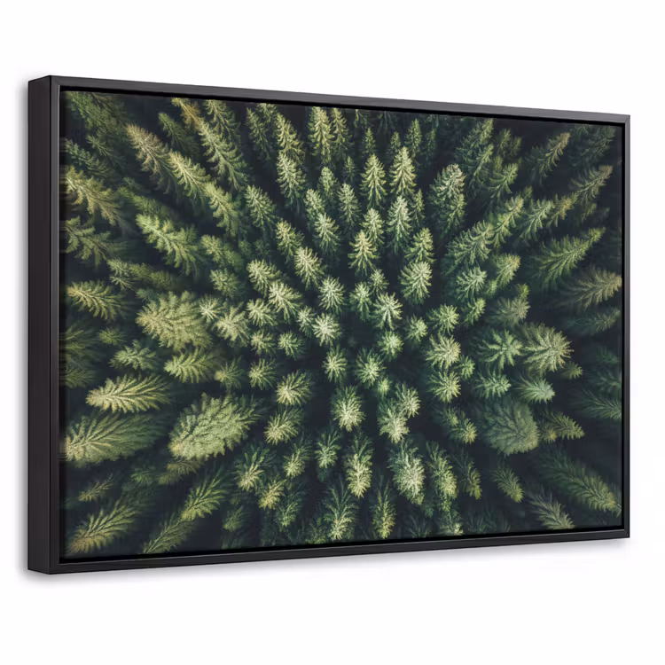 Canvas met lijst - Bomen - Naaldwoud - Structuur — 1