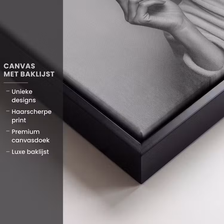 Canvas met lijst - Vrouw - Masker - Wijn - Sigaret — 5