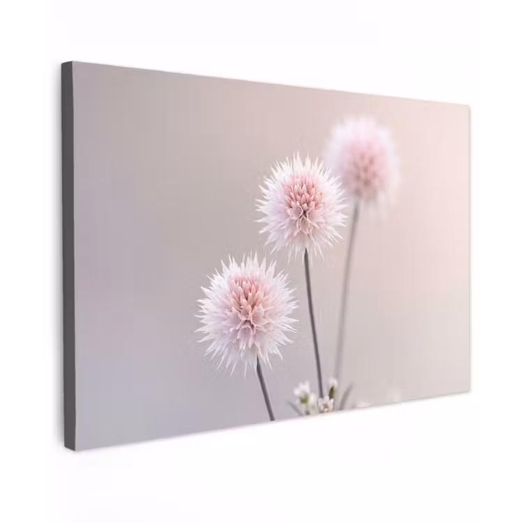 Canvas schilderij - Bloemen - Bollen - Roze — 1