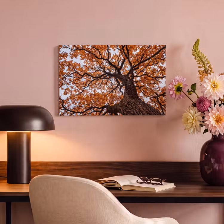 Canvas schilderij - Boom - Bladerdak - Herfst - Oranje - Sfeervol — 4