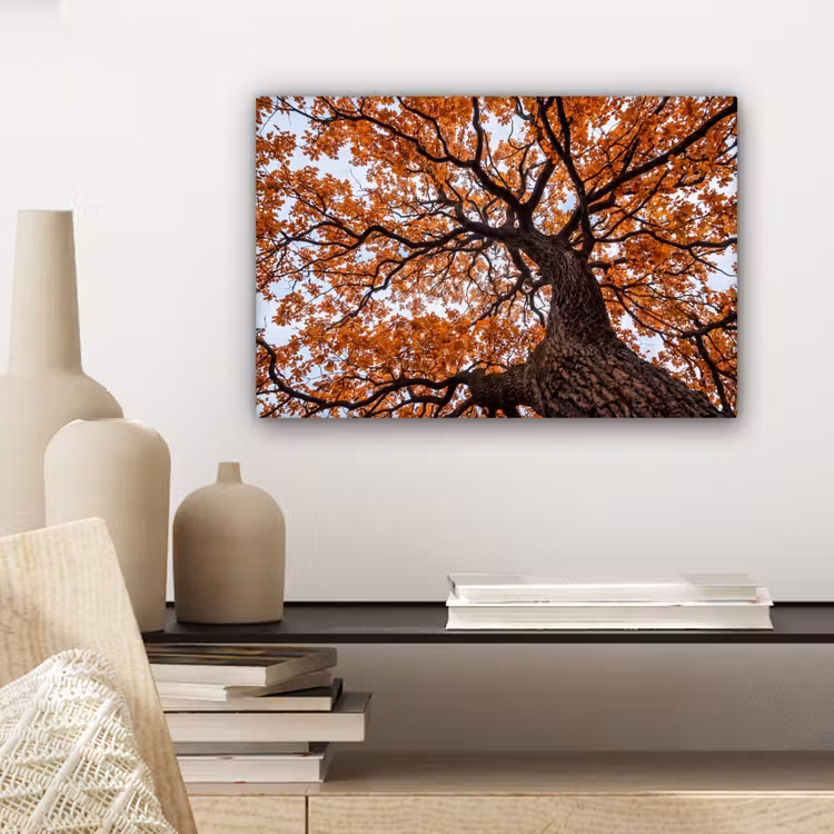Canvas schilderij - Boom - Bladerdak - Herfst - Oranje - Sfeervol — 5