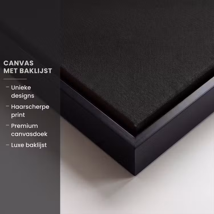 Canvas met lijst - Tekst - Bokshandschoenen - Wit — 5