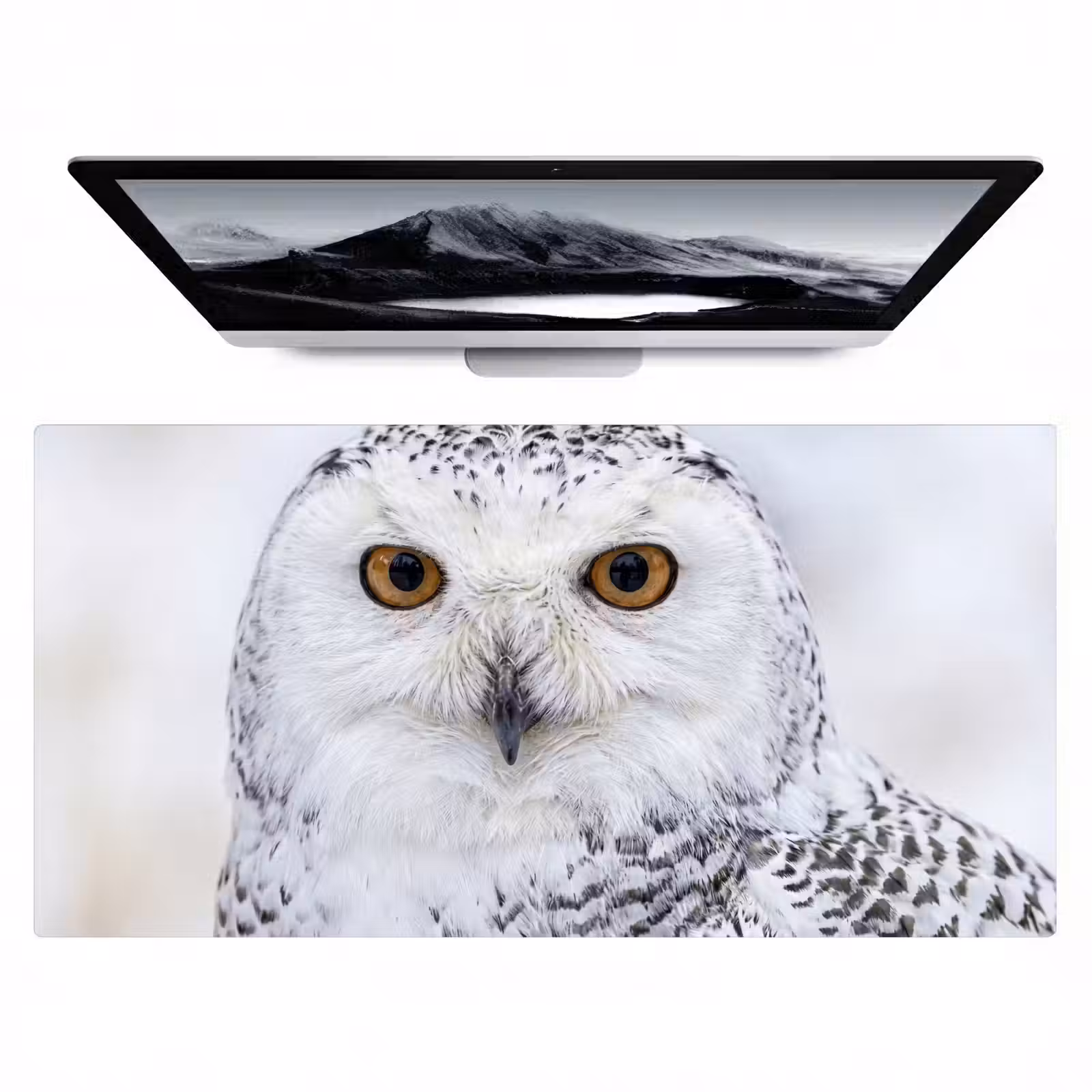 Bureau onderlegger - Sneeuwuil - Oog - Wildlife - Wit — 1