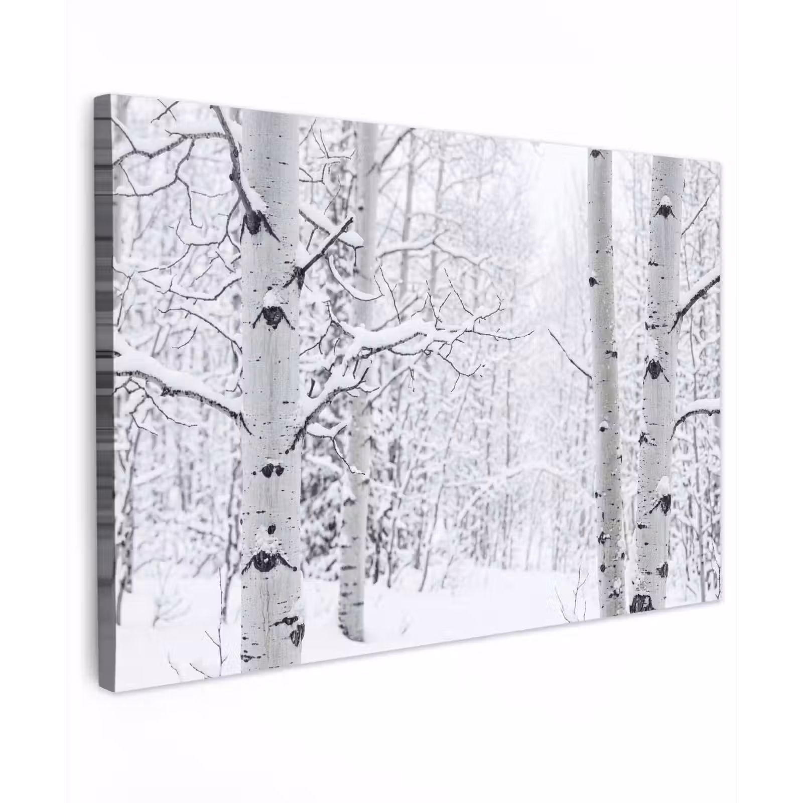 Canvas schilderij - Berkenbomen - Sneeuw - Winter - Bos - Wit — 1