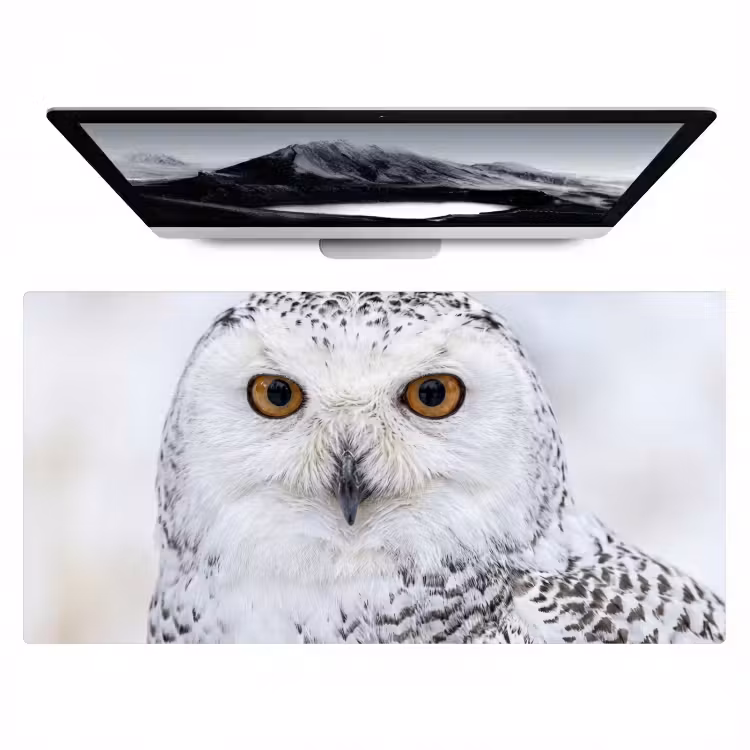 Bureau onderlegger - Sneeuwuil - Oog - Wildlife - Wit — 1
