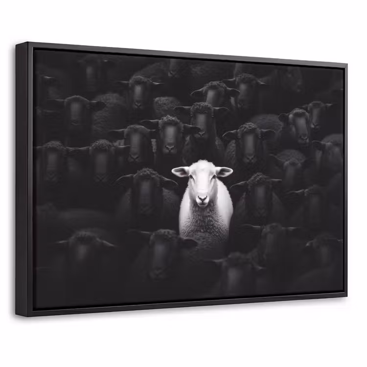 Canvas met lijst - Schapen - Wit - Duisternis — 1