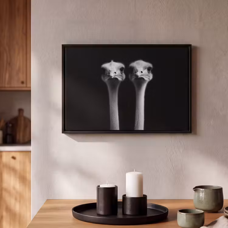Canvas met lijst - Struisvogels - Halzen - Zwart - Minimalistisch — 2