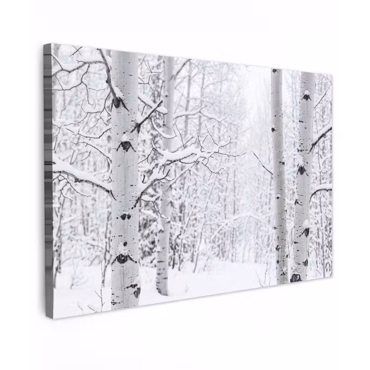 Canvas schilderij - Berkenbomen - Sneeuw - Winter - Bos - Wit — 1