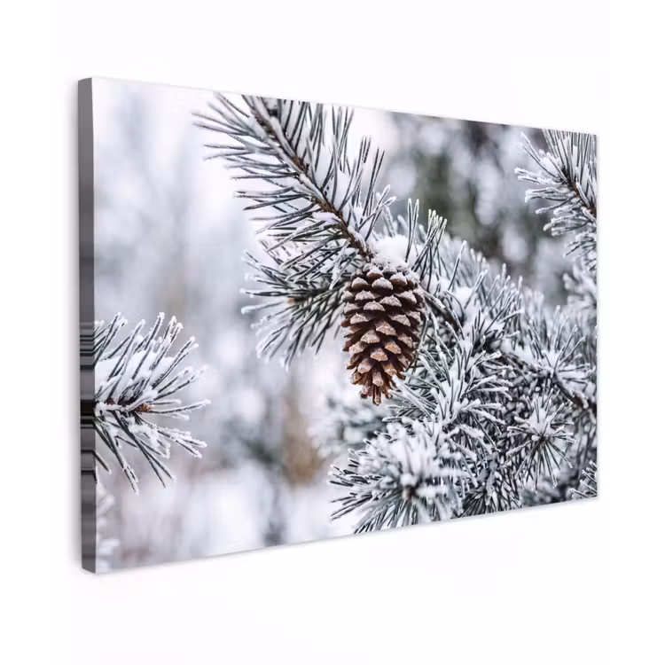 Canvas schilderij - Dennenappel - Tak - Sneeuw - Winter - Sfeervol — 1