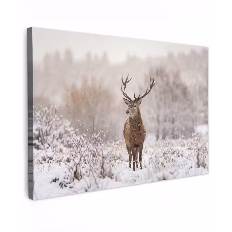 Canvas schilderij - Edelhert - Bos - Sneeuw - Winter - Majestueus — 1