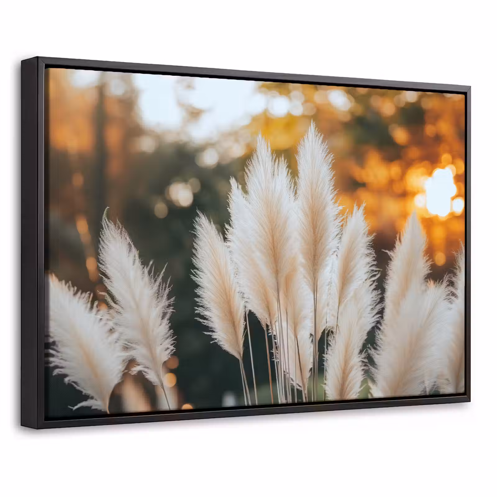Canvas met lijst - Pampasgras - Pluimen - Sierlijk — 1