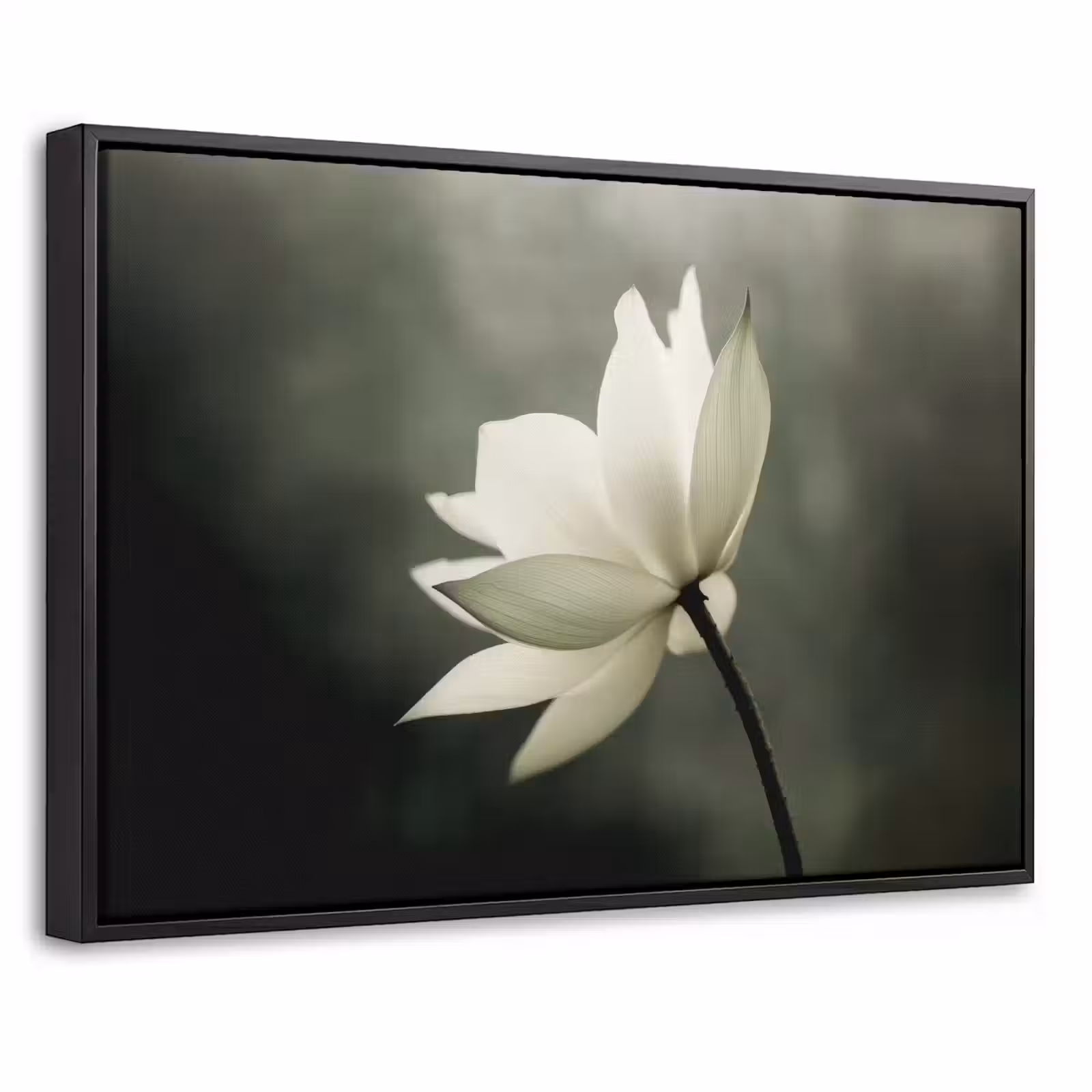 Canvas met lijst - Wit - Lotus - Donker - Bloem — 1