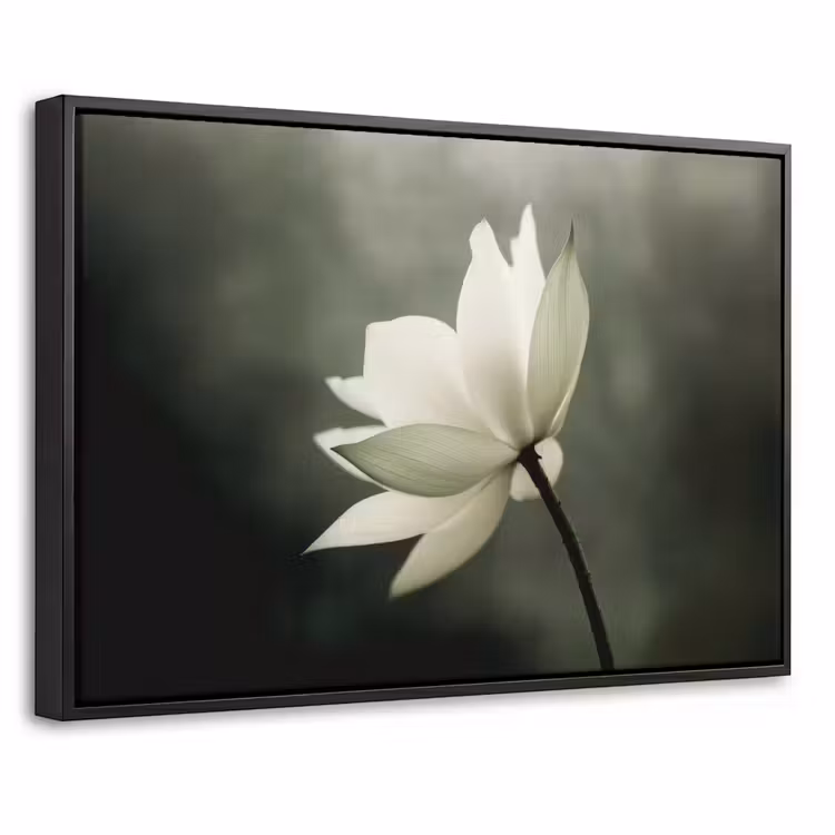 Canvas met lijst - Wit - Lotus - Donker - Bloem — 1