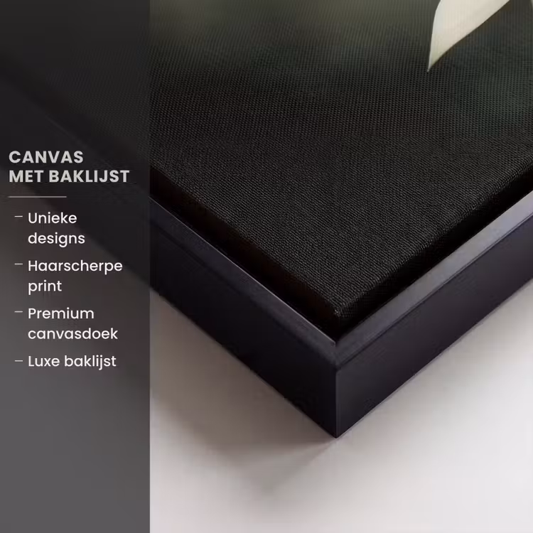 Canvas met lijst - Wit - Lotus - Donker - Bloem — 5