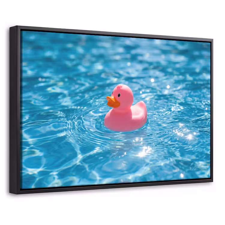 Canvas met lijst - Badeend - Dobberend - Roze — 1