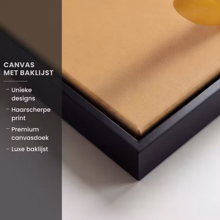 Canvas met lijst - Badeend - Handdoek - Kleurrijk — 5
