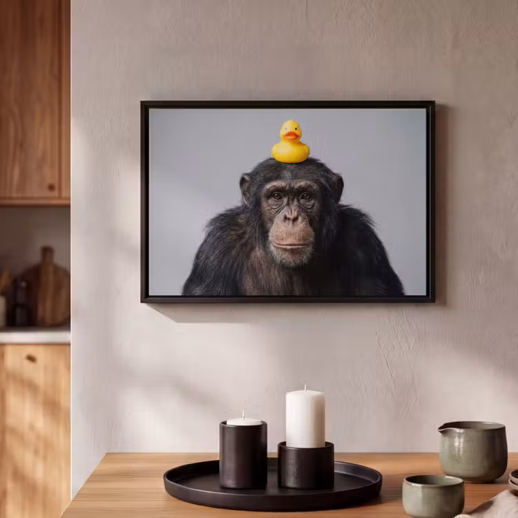 Canvas met lijst - Chimpansee - Badeend - Grijs — 2