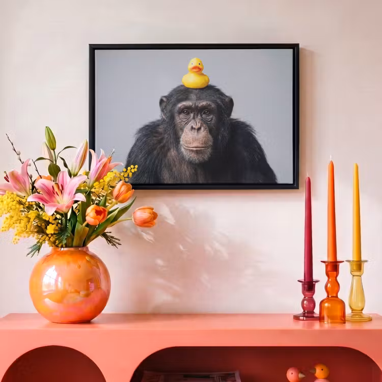 Canvas met lijst - Chimpansee - Badeend - Grijs — 4