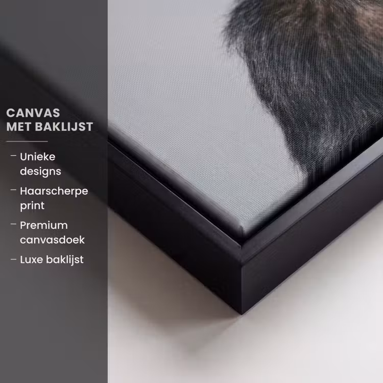 Canvas met lijst - Chimpansee - Badeend - Grijs — 5