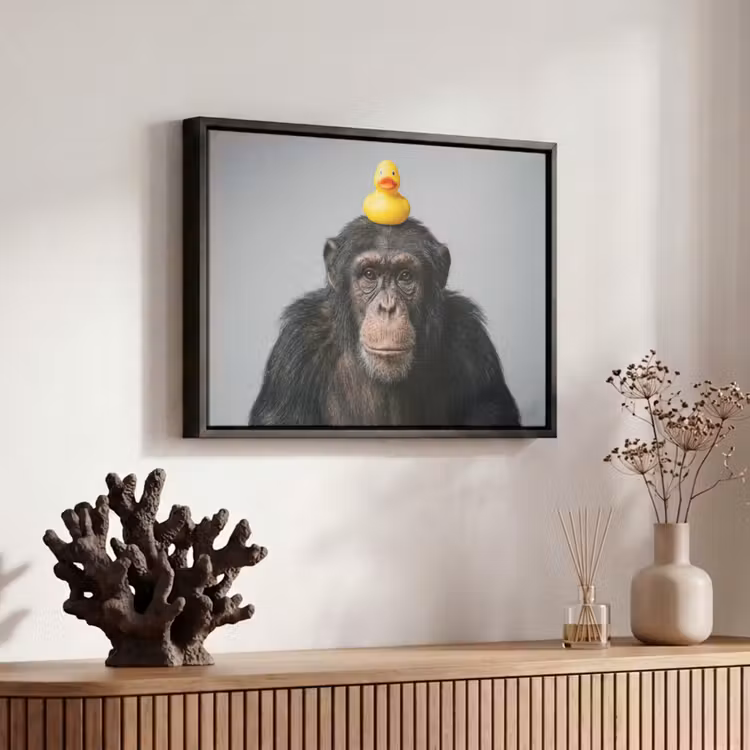 Canvas met lijst - Chimpansee - Badeend - Grijs — 6