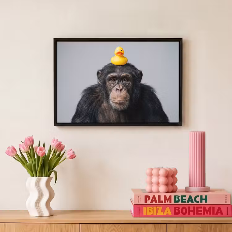 Canvas met lijst - Chimpansee - Badeend - Grijs — 8