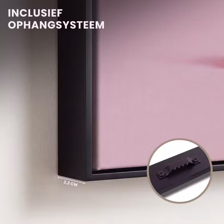 Canvas met lijst - Eendjes - Vrolijk - Roze — 3
