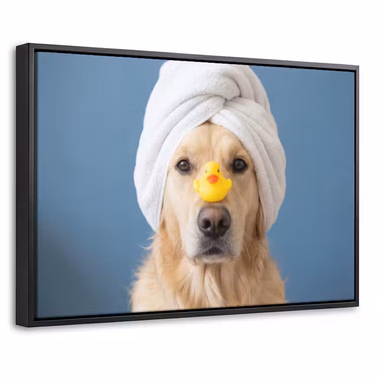 Canvas met lijst - Hond - Badeend - Geel — 1
