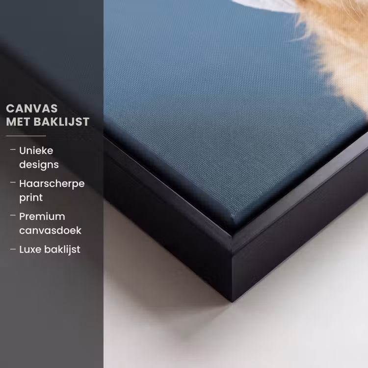Canvas met lijst - Hond - Badeend - Geel — 5
