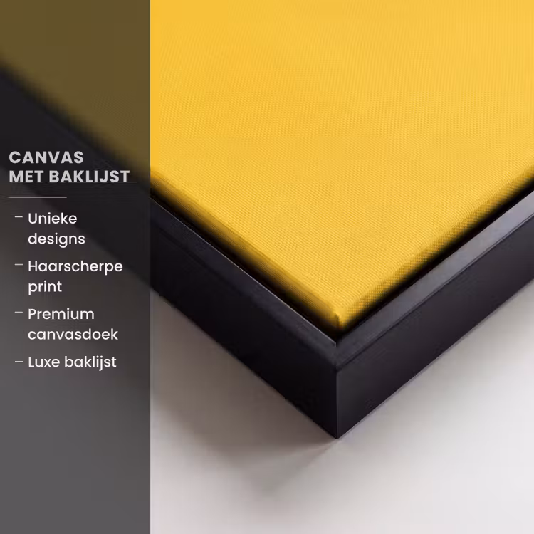 Canvas met lijst - Eend - Zonnebril - Geel — 5