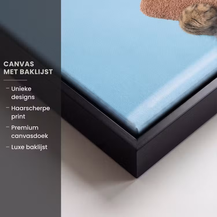 Canvas met lijst - Kat - Handdoek - Washand - Zeep — 5
