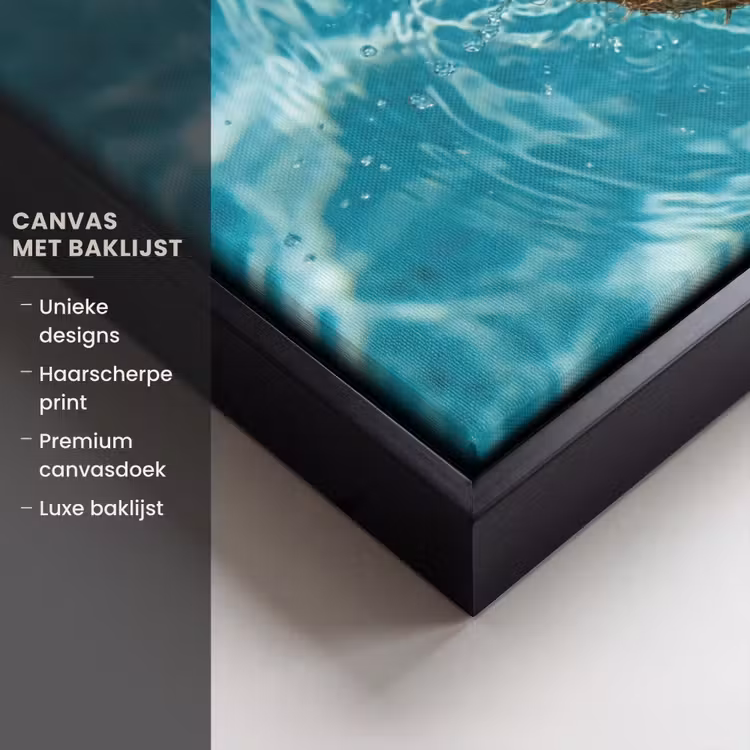 Canvas met lijst - Kokosnoot - Water - Wit — 5