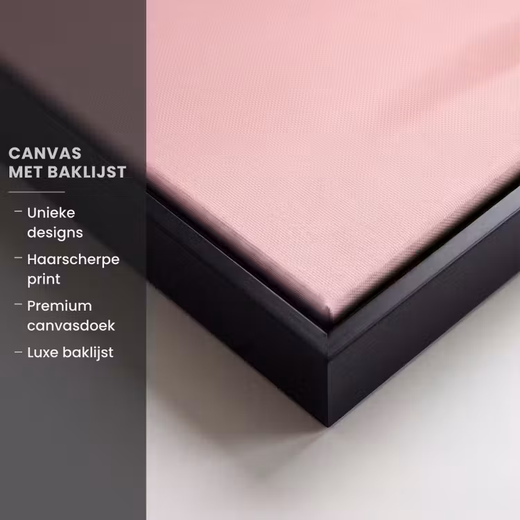 Canvas met lijst - Matroos - Eend - Roze — 5