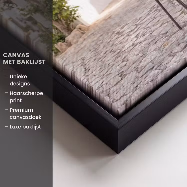 Canvas met lijst - Ochtendjas - Krulspelden - Roze — 5