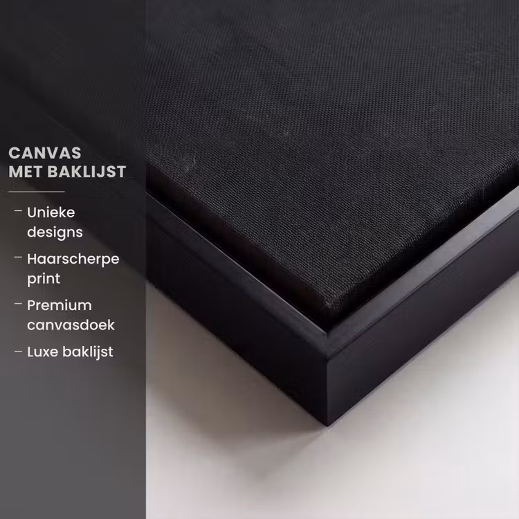 Canvas met lijst - Iconisch - Modern - Kleurrijk — 5