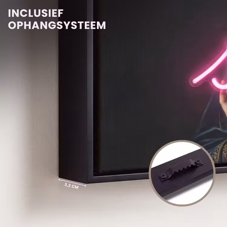 Canvas met lijst - Ironisch - Tekst - Neon — 3