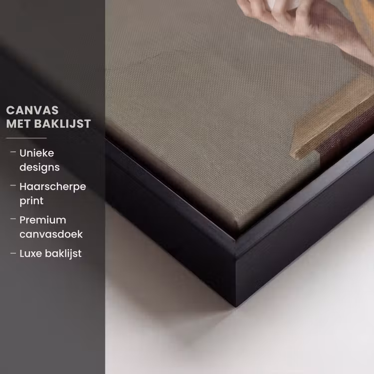 Canvas met lijst - Klassiek - Humor - Kleurrijk — 5