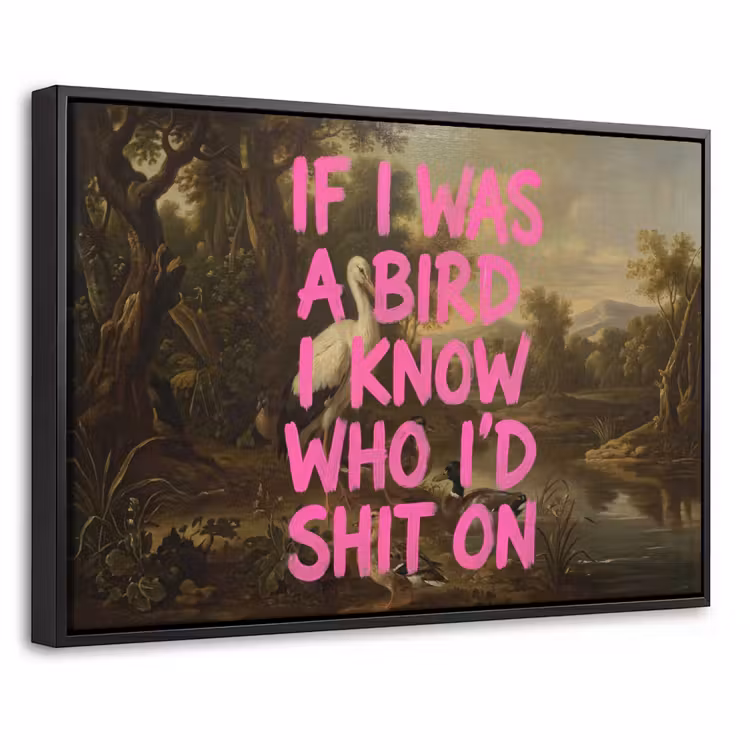 Canvas met lijst - Klassiek - Humor - Roze — 1